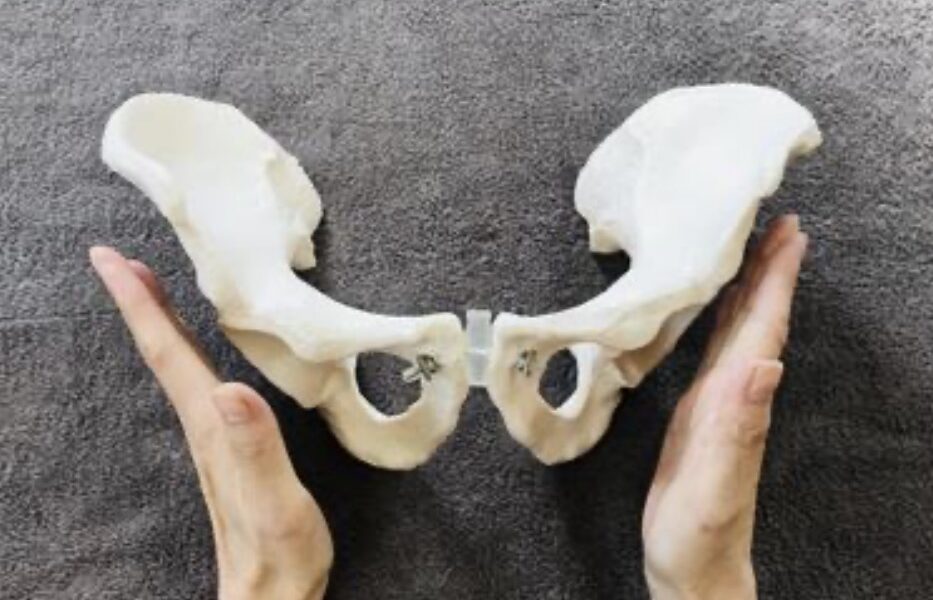 骨盤の歪みが与える影響