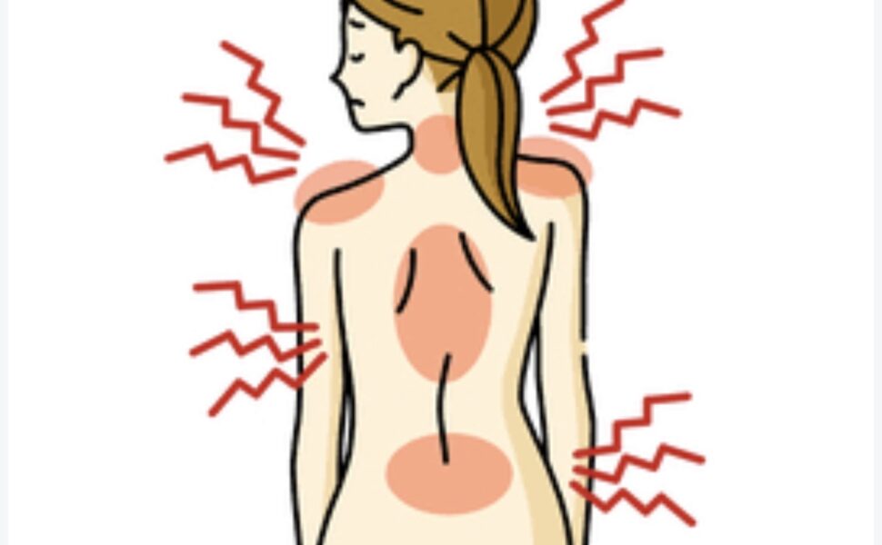 Why Does Your Low Back Pain Keep Coming Back? Why Does Your Low Back Pain Keep Coming Back?