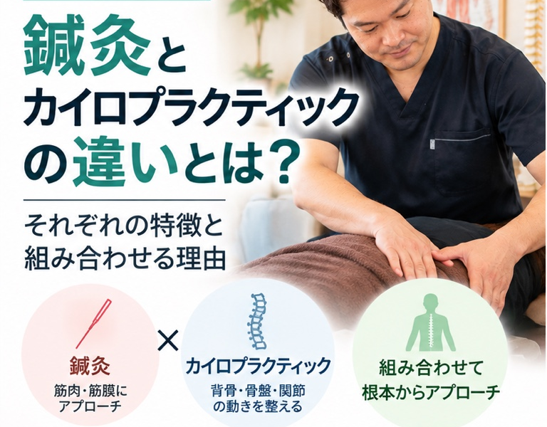 錦糸町の鍼灸とカイロプラクティック｜違いと組み合わせる理由